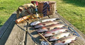 The catch from the Test Side lakes in Hampshire